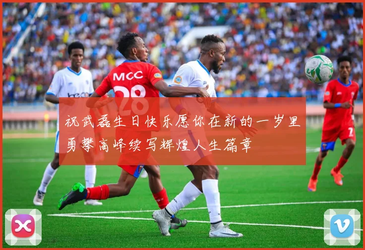 祝武磊生日快乐愿你在新的一岁里勇攀高峰续写辉煌人生篇章