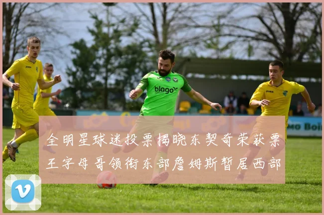 全明星球迷投票揭晓东契奇荣获票王字母哥领衔东部詹姆斯暂居西部第九